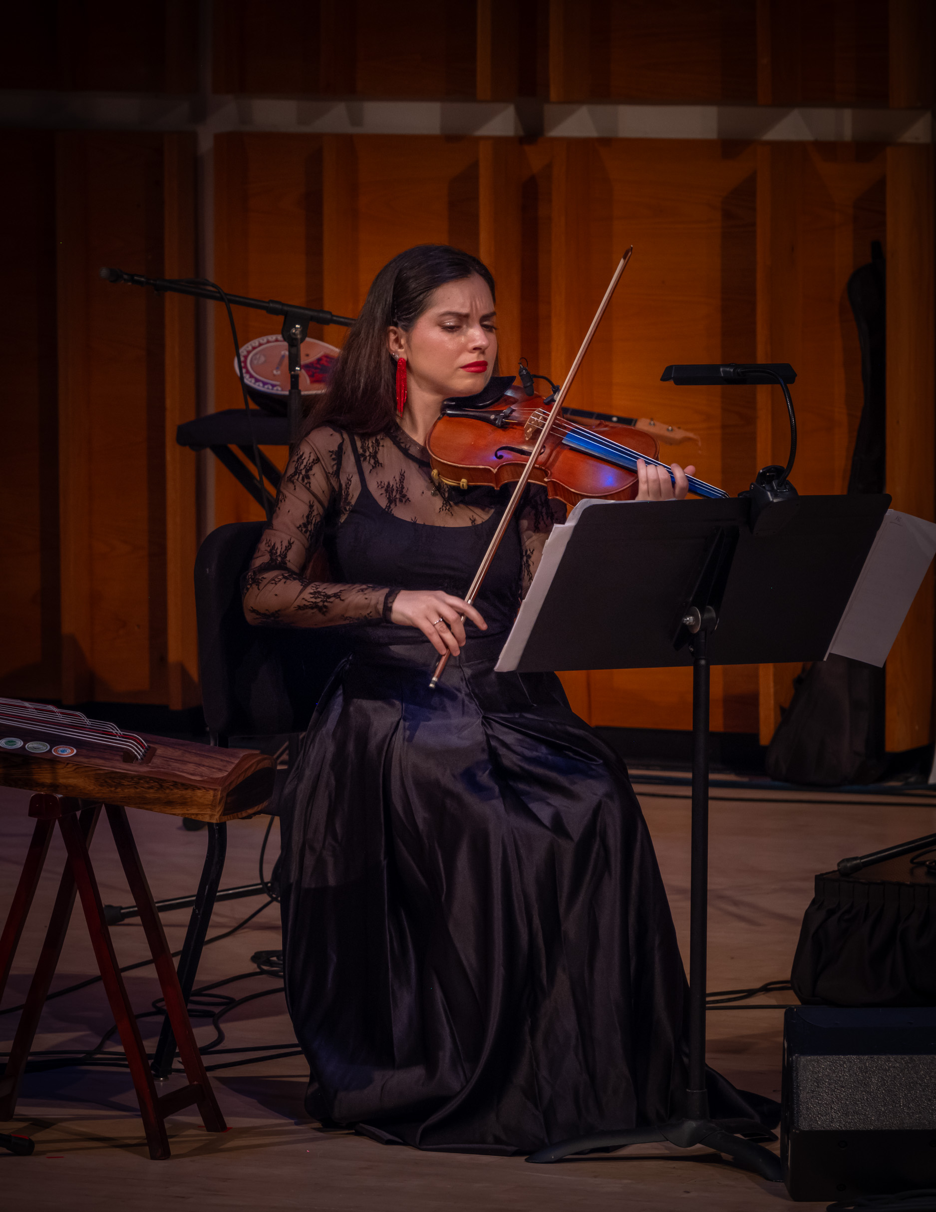 Concert photo 16